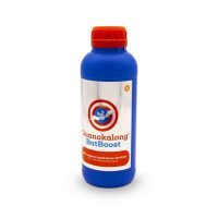 GUANOKALONG - BATBOOST | A Loja da Maria
