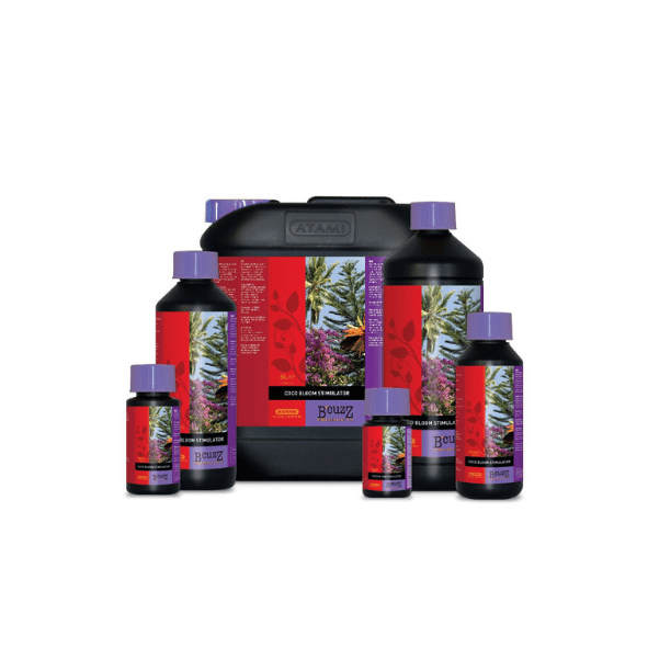ATAMI - B'CUZZ COCO BLOOM STIMULATOR | A Loja da Maria