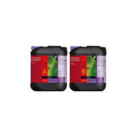ATAMI - B'CUZZ COCO A+B (PACK) | A Loja da Maria