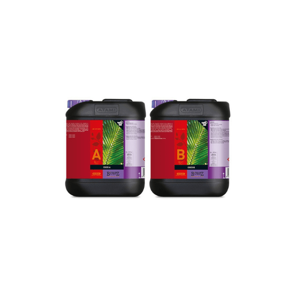 ATAMI - B'CUZZ COCO A+B (PACK) | A Loja da Maria