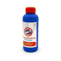 GUANOKALONG - EXTRACT | A Loja da Maria