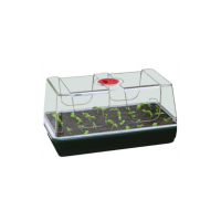 LARGE HIGH DOME PROPAGATOR | A Loja da Maria