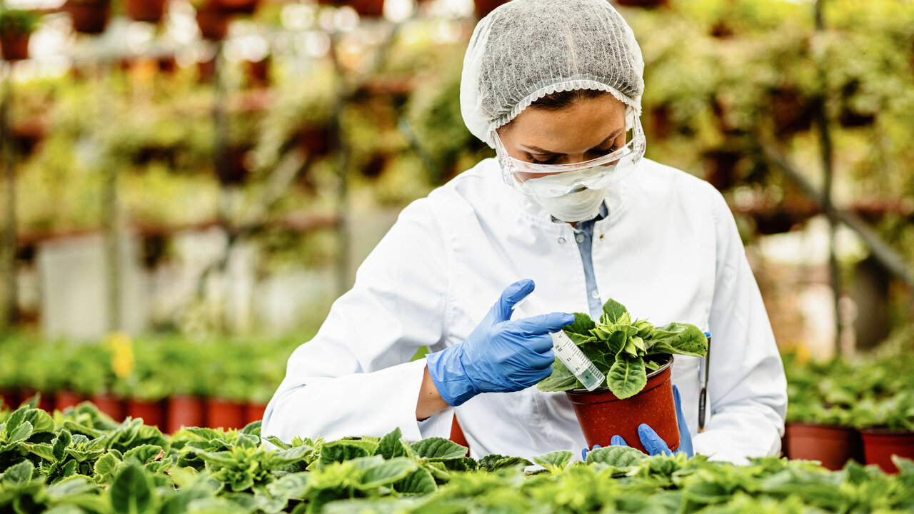 Nutrição vegetal e substratos: Fertilizantes organo-minerais e NPK
