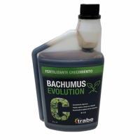 TRABE - BACHUMUS EVOLUTION CRESCIMENTO