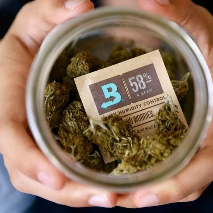 BOVEDA GEL PARA CONTROLAR DE HUMIDADE 58% - imagem adicional | A Loja da Maria