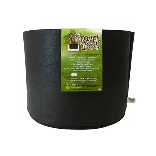 SMART POT | A Loja da Maria