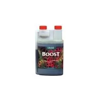 CANNA - BOOST ACCELERATOR | A Loja da Maria