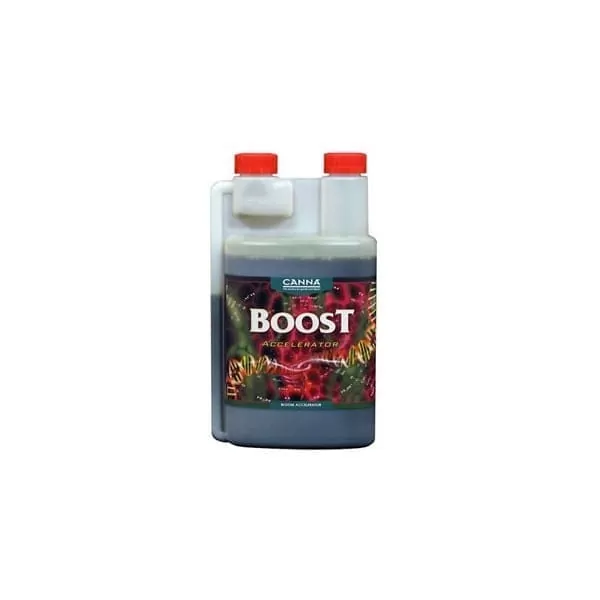 CANNA - BOOST ACCELERATOR | A Loja da Maria