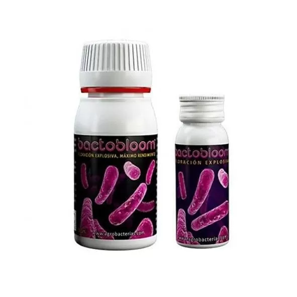 BACTOBLOOM | A Loja da Maria