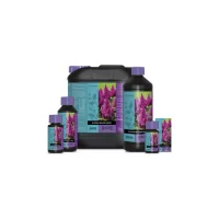 ATAMI - B'CUZZ BLOSSOM BUILDER LIQUID | A Loja da Maria