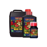 TOP CROP - BIG ONE | A Loja da Maria