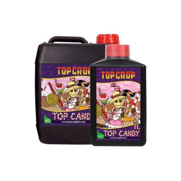 TOP CROP - TOP CANDY | A Loja da Maria