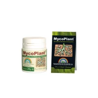 TRABE - MYCOPLANT | A Loja da Maria