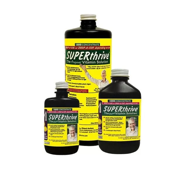 SUPERTHRIVE | A Loja da Maria