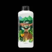 CRAZY HILLS - ELAN | A Loja da Maria