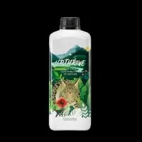 CRAZY HILLS - UPTHRIVE | A Loja da Maria