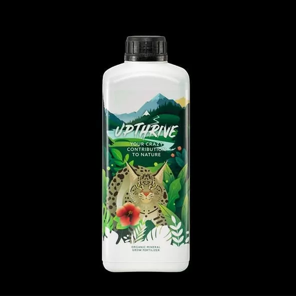 CRAZY HILLS - UPTHRIVE | A Loja da Maria