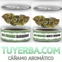 FLOR AROMÁTICA TUYERBA - BIO | A Loja da Maria