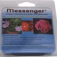 MESSENGER | A Loja da Maria