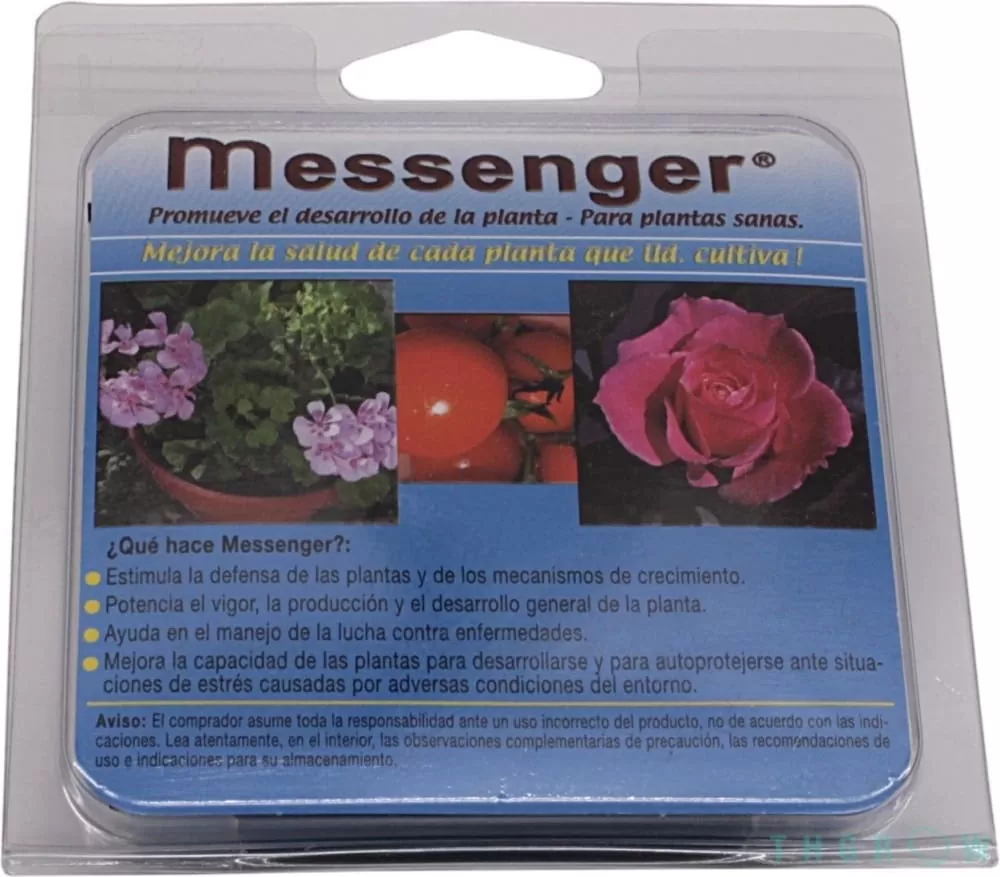MESSENGER | A Loja da Maria