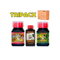 TOP CROP - TRIPACK | A Loja da Maria