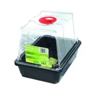 SMALL HIGH DOME PROPAGATOR | A Loja da Maria