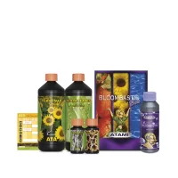 ATAMI - BLOOMBASTIC BOX | A Loja da Maria
