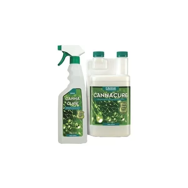 CANNACURE - SPRAY | A Loja da Maria