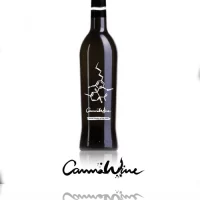CANNAWINE – Vinho de Cânhamo 0,50L | A Loja da Maria
