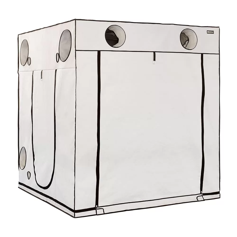 HOMEBOX AMBIENT Q200+ - imagem adicional | A Loja da Maria