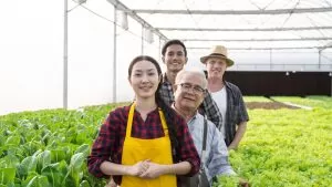 BioNova: Fertilizantes orgânicos para cultivo sustentável