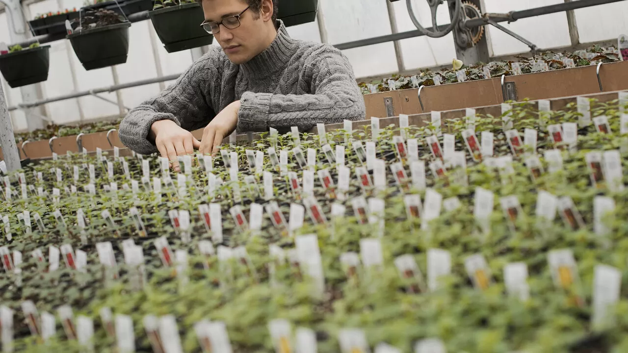 Canna: Linha completa de fertilizantes para cultivo