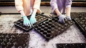 Packs de fertilizantes: Como escolher o kit completo certo