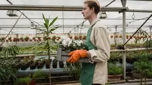 Jardineira a cuidar de plantas em estufa — movimento grow